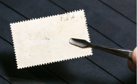 Essential Tools for Stamp Collectors
